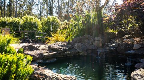 3700 Burnside Rd, Sebastopol, CA 95472 photo 42