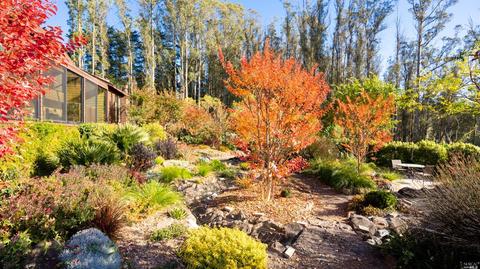 3700 Burnside Rd, Sebastopol, CA 95472 photo 36