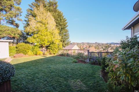 8 Robertson Ter, Mill Valley, CA 94941 photo 21