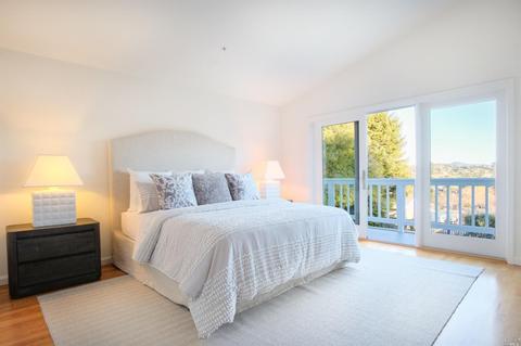 8 Robertson Ter, Mill Valley, CA 94941 photo 28