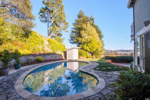 8 Robertson Ter, Mill Valley, CA 94941 photo 23