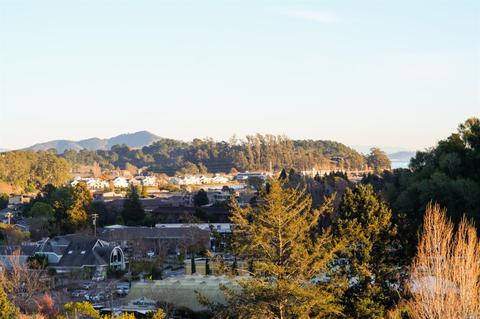 8 Robertson Ter, Mill Valley, CA 94941 photo 7