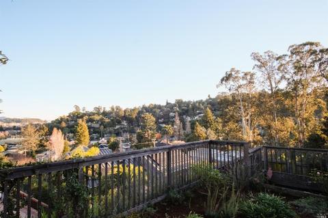 8 Robertson Ter, Mill Valley, CA 94941 photo 40