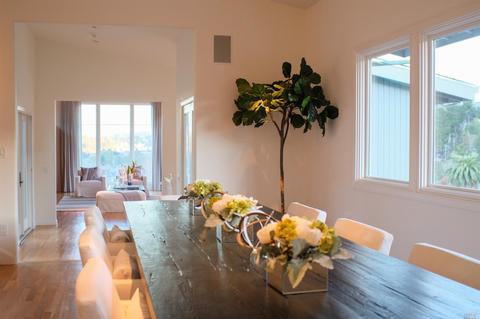 8 Robertson Ter, Mill Valley, CA 94941 photo 9