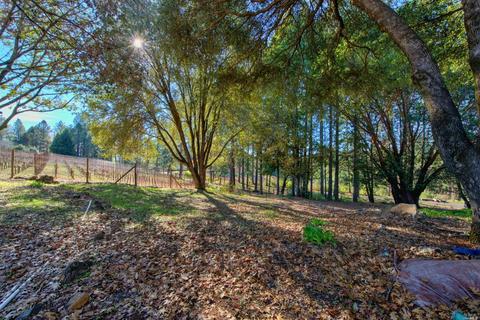 896 Ponderosa Dr, Angwin, CA 94508 photo 43