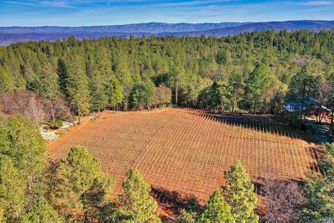 896 Ponderosa Dr, Angwin, CA 94508 photo 47