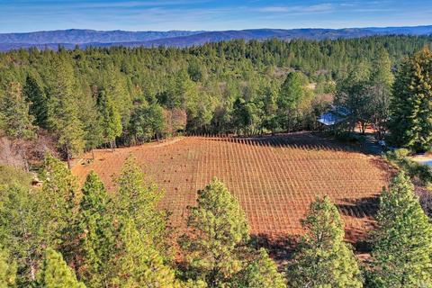 896 Ponderosa Dr, Angwin, CA 94508 photo 46