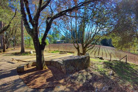 896 Ponderosa Dr, Angwin, CA 94508 photo 45