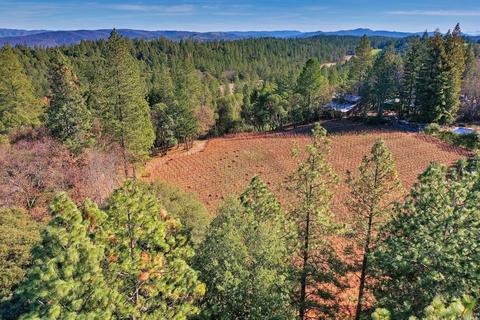 896 Ponderosa Dr, Angwin, CA 94508 photo 49