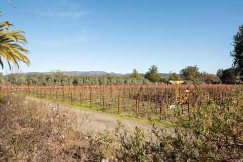19385 Wyatt Rd, Sonoma, CA 95476 photo 43