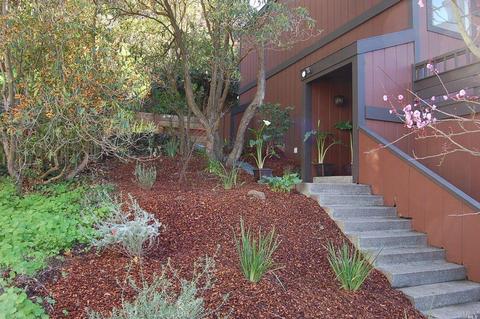 65 Marin Ave, Sausalito, CA 94965 photo 37