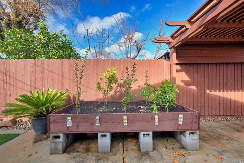 268 Grape St, Vacaville, CA 95688 photo 45