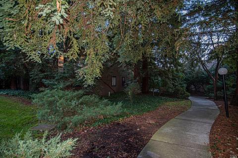 74 Creek Ct, Cotati, CA 94931 photo 17