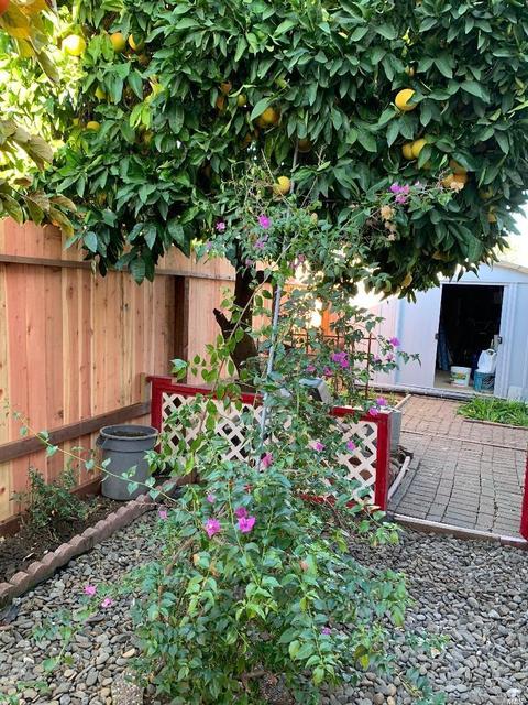 1876 Mini Dr, Vallejo, CA 94589 photo 16