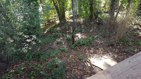 8205 Spring Dr, Forestville, CA 95436 photo 7