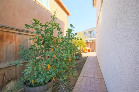 1225 Baylor Way, Dixon, CA 95620 photo 9