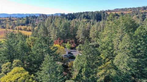 950 White Cottage Rd N, Angwin, CA 94508 photo 49