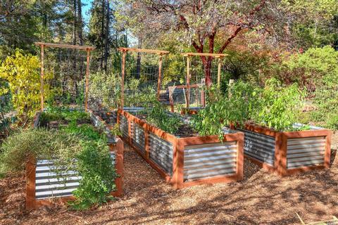 950 White Cottage Rd N, Angwin, CA 94508 photo 44