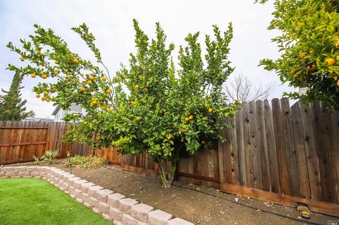 1108 Ruby Dr, Vacaville, CA 95687 photo 43