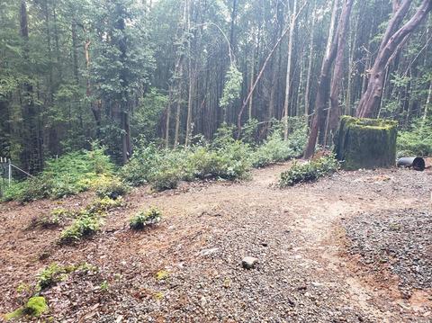 3590 Perch Dr, Willits, CA 95490 photo 12