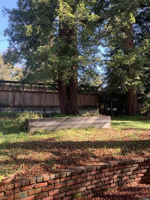 3161 Edison St, Graton, CA 95444 photo 21