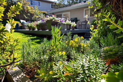 14 Balclutha Dr, Corte Madera, CA 94925 photo 12
