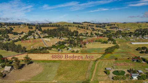 4880 Bodega Ave, Petaluma, CA 94952 photo 4