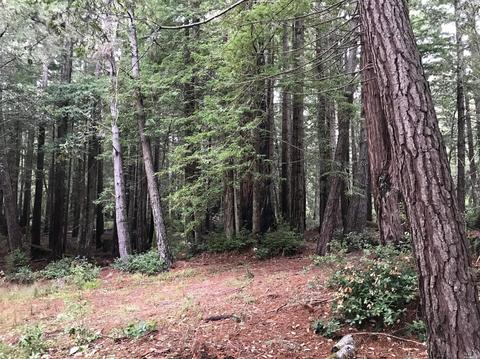 22091 Lyons Ct, Timber Cove, CA 95450 photo 5