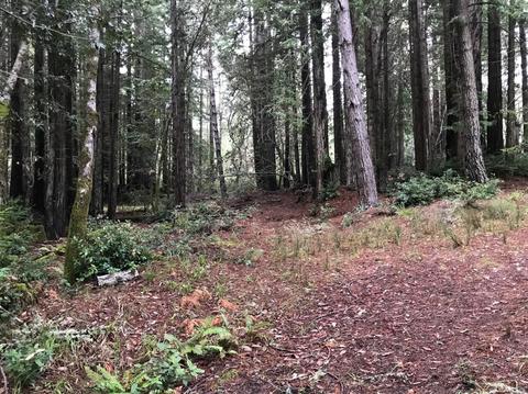 22091 Lyons Ct, Timber Cove, CA 95450 photo 2