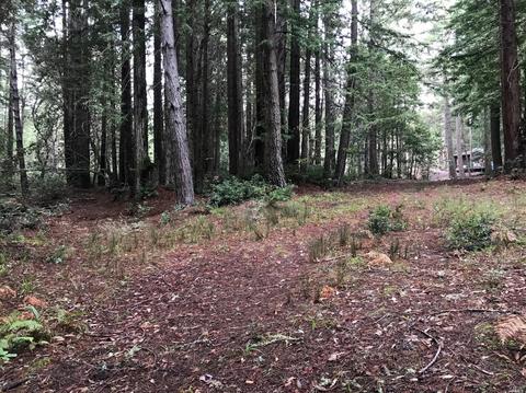 22091 Lyons Ct, Timber Cove, CA 95450 photo 1