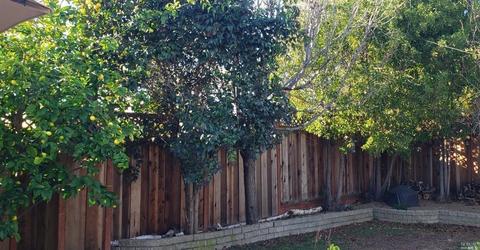 1215 Lassen St, Vallejo, CA 94591 photo 24