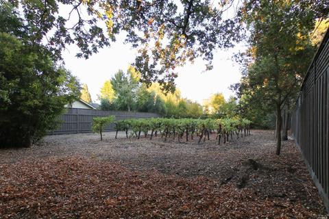 315 E Macarthur St, Sonoma, CA 95476 photo 1