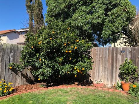 160 Teal Ct, Vallejo, CA 94589 photo 75