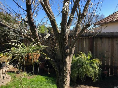 160 Teal Ct, Vallejo, CA 94589 photo 76