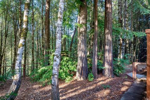 1221 Perch Ln, Willits, CA 95490 photo 26