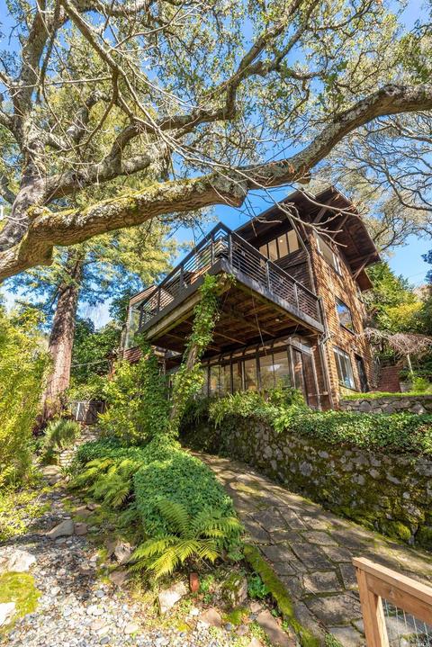 315 Eldridge Ave, Mill Valley, CA 94941 photo 57