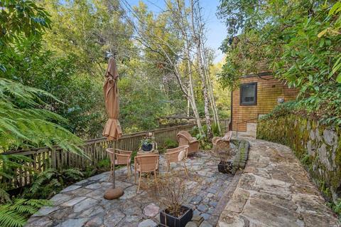 315 Eldridge Ave, Mill Valley, CA 94941 photo 54