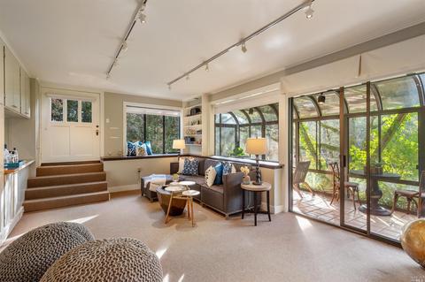 315 Eldridge Ave, Mill Valley, CA 94941 photo 37