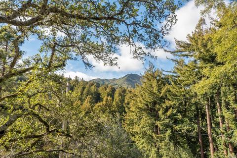 315 Eldridge Ave, Mill Valley, CA 94941 photo 58