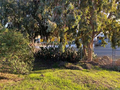 1313 Glen Cove Rd, Vallejo, CA 94591 photo 45