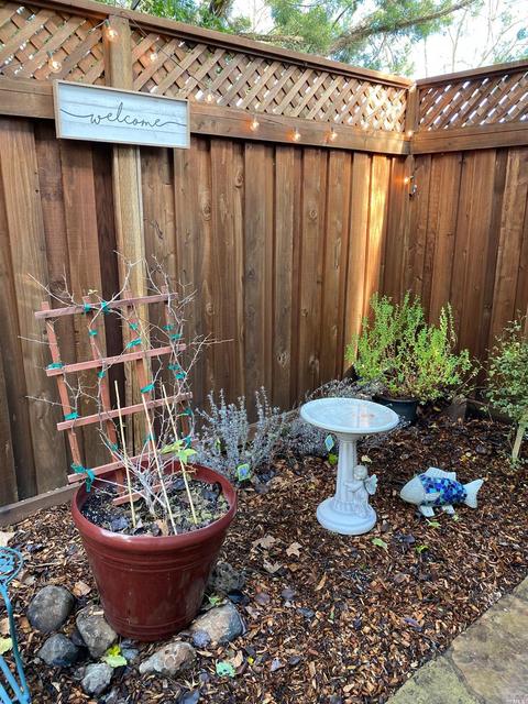 923 E Cotati Ave, Cotati, CA 94931 photo 21
