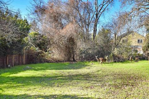 553 E 2nd St, Sonoma, CA 95476 photo 37