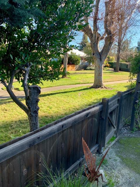 216 Mountain View Dr, Healdsburg, CA 95448 photo 24