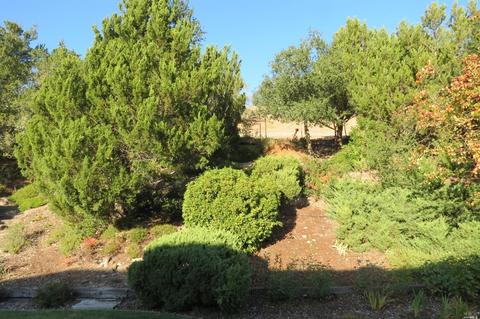 6325 Stone Bridge Rd, Santa Rosa, CA 95409 photo 30