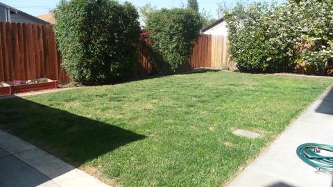 439 Russell St, Winters, CA 95694 photo 68