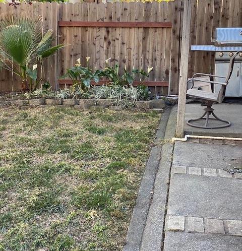 36 E Main St, Winters, CA 95694 photo 7