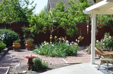 110 Almond Dr, Winters, CA 95694 photo 36