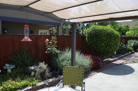 110 Almond Dr, Winters, CA 95694 photo 35