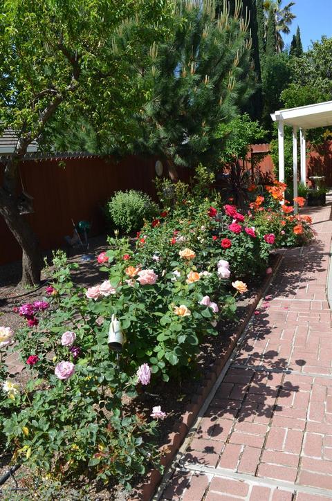 110 Almond Dr, Winters, CA 95694 photo 37
