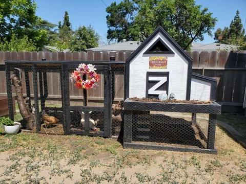 2100 Budd St, Modesto, CA 95350 photo 17